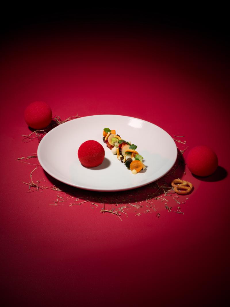 SCastillo_SixByNico_Circus_Dish05688_Main.jpg